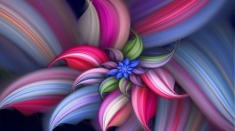 Abstract-Beautiful-Flower-Wallpaper-768x1366